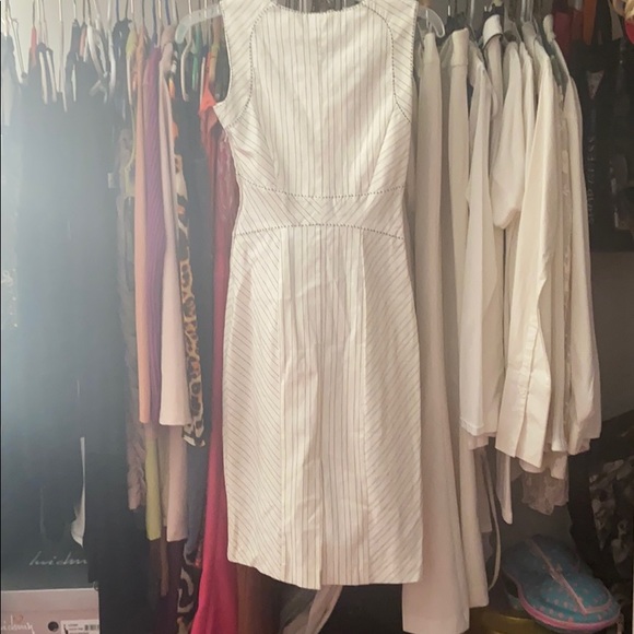 White with black pinstripes, pencil skirt dress - Picture 5 of 5